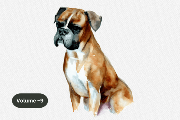 Boxer Dog Watercolor Clipart for Graphics and Illustrations
