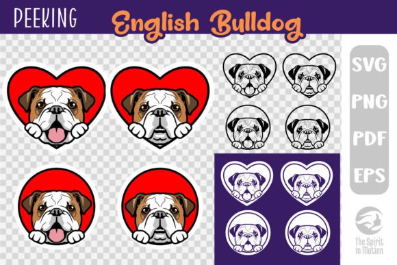 Valentine's English Bulldog Clipart for Website and Editorial Use